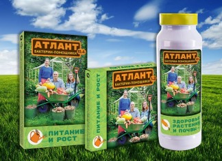 Подарите растениям силу Атланта