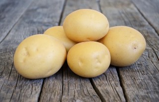 Картофель «Агата» Картофель «Агата»