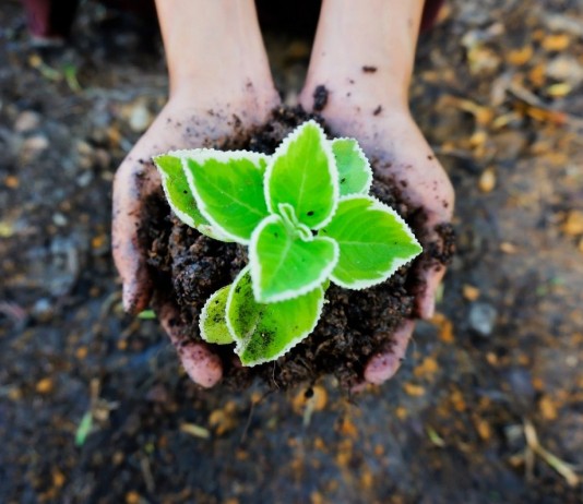 Способы повышения плодородия почвы - ТПК «РОСТИ» Способы повышения плодородия почвы