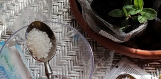Гидрогель вместо частых поливов — мой опыт использования