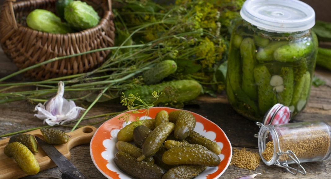 Хрустящие огурцы, соленые как в бочке холодным способом Хрустящие огурцы, соленые как в бочке холодным способом
