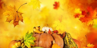 Про удобрения осенние — «Осень» и ОМУ «Осеннее»