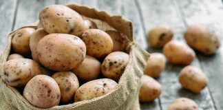 5 главных правил успешной зимовки картофеля