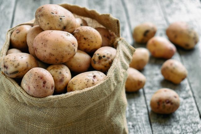 5 главных правил успешной зимовки картофеля