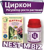Циркон Циркон