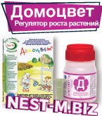 Домоцвет – высокоэффективный биорегулятор Домоцвет – высокоэффективный биорегулятор