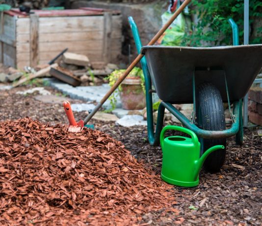 Чем и как мульчировать растения осенью? - Сад и огород Чем и как мульчировать растения осенью?