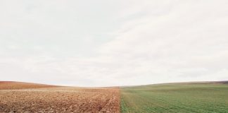 Правильная подготовка грунта к зиме: открытый и тепличный