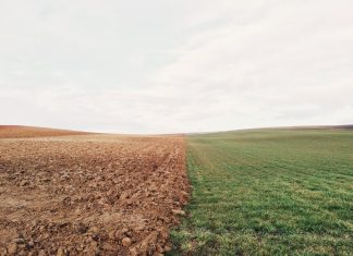 Правильная подготовка грунта к зиме: открытый и тепличный