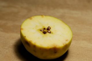 Горькая ямчатость яблока (подкожная пятнистость)