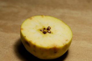 Горькая ямчатость яблока (подкожная пятнистость) Горькая ямчатость яблока (подкожная пятнистость)