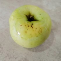Фузариозная гниль яблока
