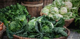 Капуста – одна из древнейших овощных культур, которая обладает лечебными свойствами
