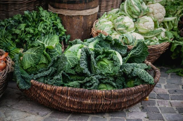 Капуста – одна из древнейших овощных культур, которая обладает лечебными свойствами Капуста – одна из древнейших овощных культур, которая обладает лечебными свойствами