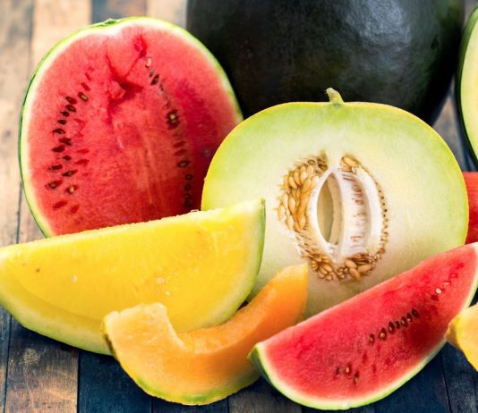 Прививка арбузов и дынь на лагенарию — решение для холодного климата