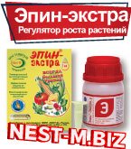 Эпин-Экстра – антистрессовый адаптоген Эпин-Экстра – антистрессовый адаптоген