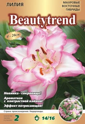 Лилия «Бьютитренд» Лилия «Бьютитренд»