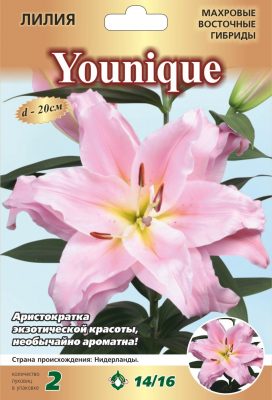 Лилия «Юник» Лилия «Юник»