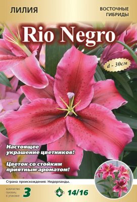 Лилия «Рио Негро» Лилия «Рио Негро»