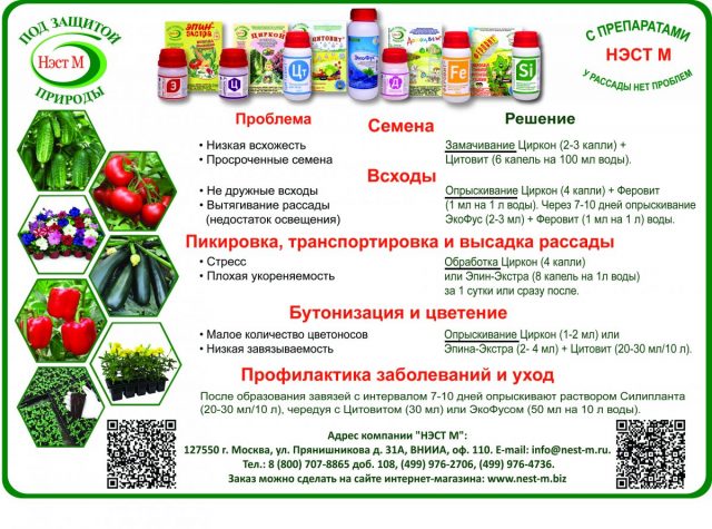 С препаратами «НЭСТ М» у рассады нет проблем С препаратами «НЭСТ М» у рассады нет проблем