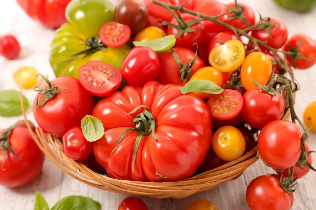 Лучшие сорта раннеспелых томатов от компании «Евросемена» г. Барнаул