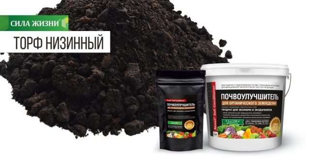 Торф низинный Торф низинный