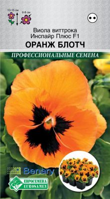 Виола Виттрока «Инспайр Плюс Оранж Блотч» F1 Виола Виттрока «Инспайр Плюс Оранж Блотч» F1
