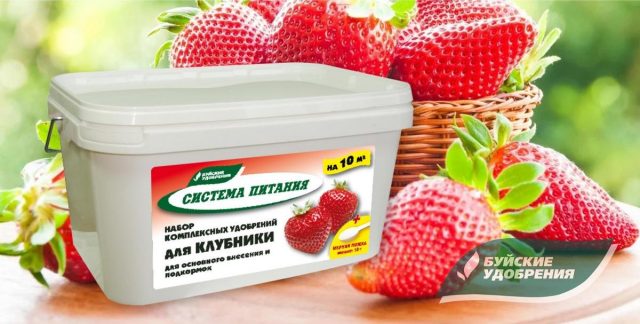 Набор комплексных удобрений «Система питания» для клубники (земляники) Набор комплексных удобрений «Система питания» для клубники (земляники)