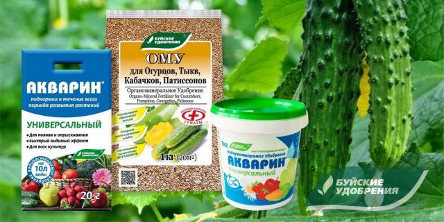 Набор удобрений для хорошего урожая огурцов Набор удобрений для хорошего урожая огурцов
