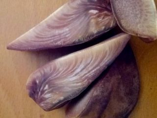 Печёночница в разрезе Печёночница в разрезе