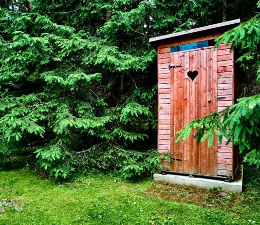 Туалет на участке может иметь различное устройство