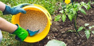 Удобрение для подкормки овощных культур