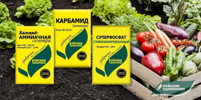 Чем подкормить сад и огород в мае Чем подкормить сад и огород в мае