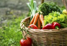 Как накормить растения и никого не отравить?