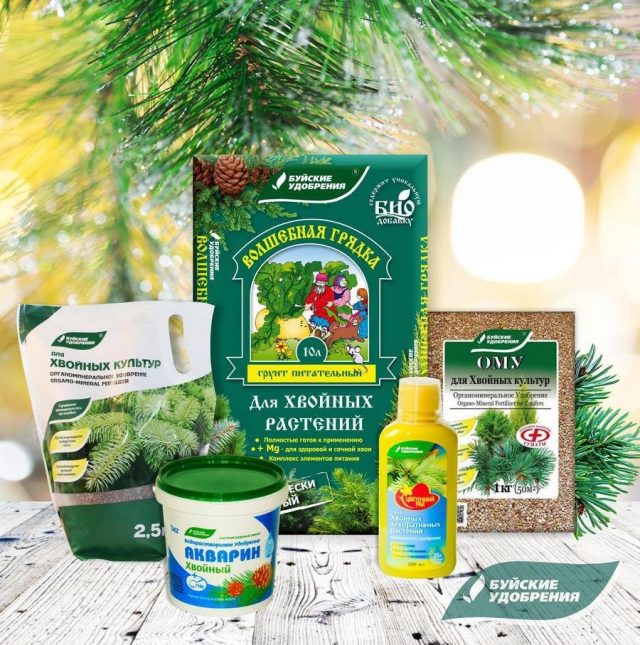 Удобрения для подкормки хвойных культур Удобрения для подкормки хвойных культур