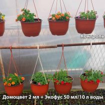 Контроль ЭкоФус