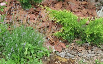 Старая и свежая кора, камень и геотекстиль для мульчирования