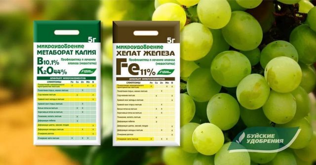 Удобрения завода Буйские удобрения: Микроудобрения метаборат калия и Хелат железа Fe 11% Удобрения завода Буйские удобрения: Микроудобрения метаборат калия и Хелат железа Fe 11%