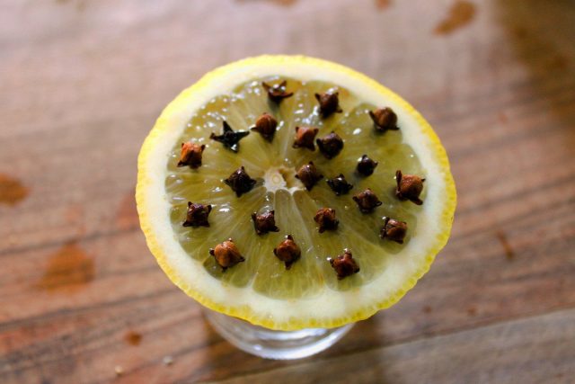 Лимон с гвоздикой — натуральное средство от комаров