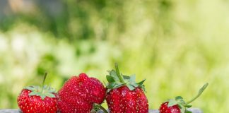 Почему деформируются ягоды у земляники садовой? - Сад и огород Почему деформируются ягоды у земляники садовой?