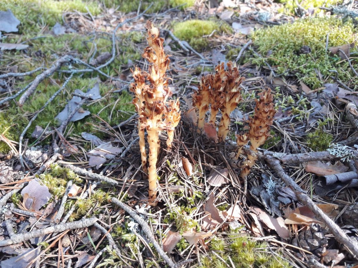 photo5859475310880338899