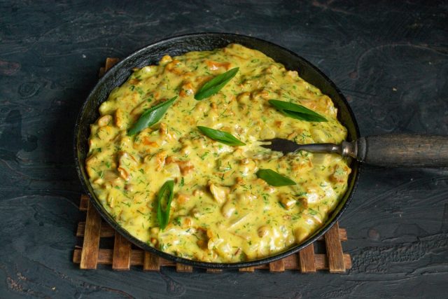 Ароматные лисички, жаренные со сметаной и луком, готовы Ароматные лисички, жаренные со сметаной и луком, готовы