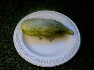 Огурдыня «Мацарен» Огурдыня «Мацарен»