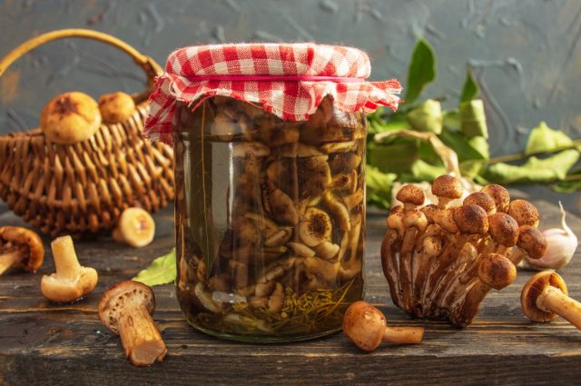Маринованные опята с чесноком Маринованные опята с чесноком