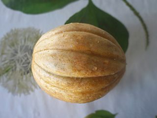 Дыня «Малага» Дыня «Малага»