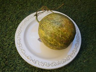 Дыня «Шаранте» (Кавайонская дыня) Дыня «Шаранте» (Кавайонская дыня)