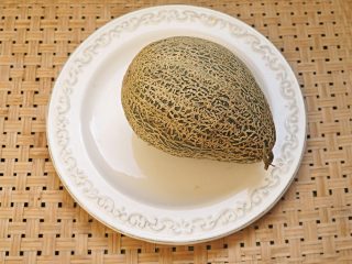 Дыня «Дамский завтрак» Дыня «Дамский завтрак»