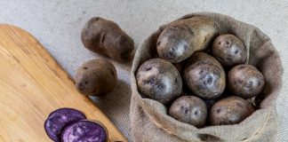 Фиолетовый картофель — преимущества и недостатки по сравнению с традиционным
