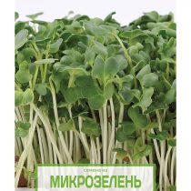 Семена на микрозелень «Дайкон» Семена на микрозелень «Дайкон»