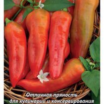 Острый перец "Красный толстяк" Острый перец "Красный толстяк"